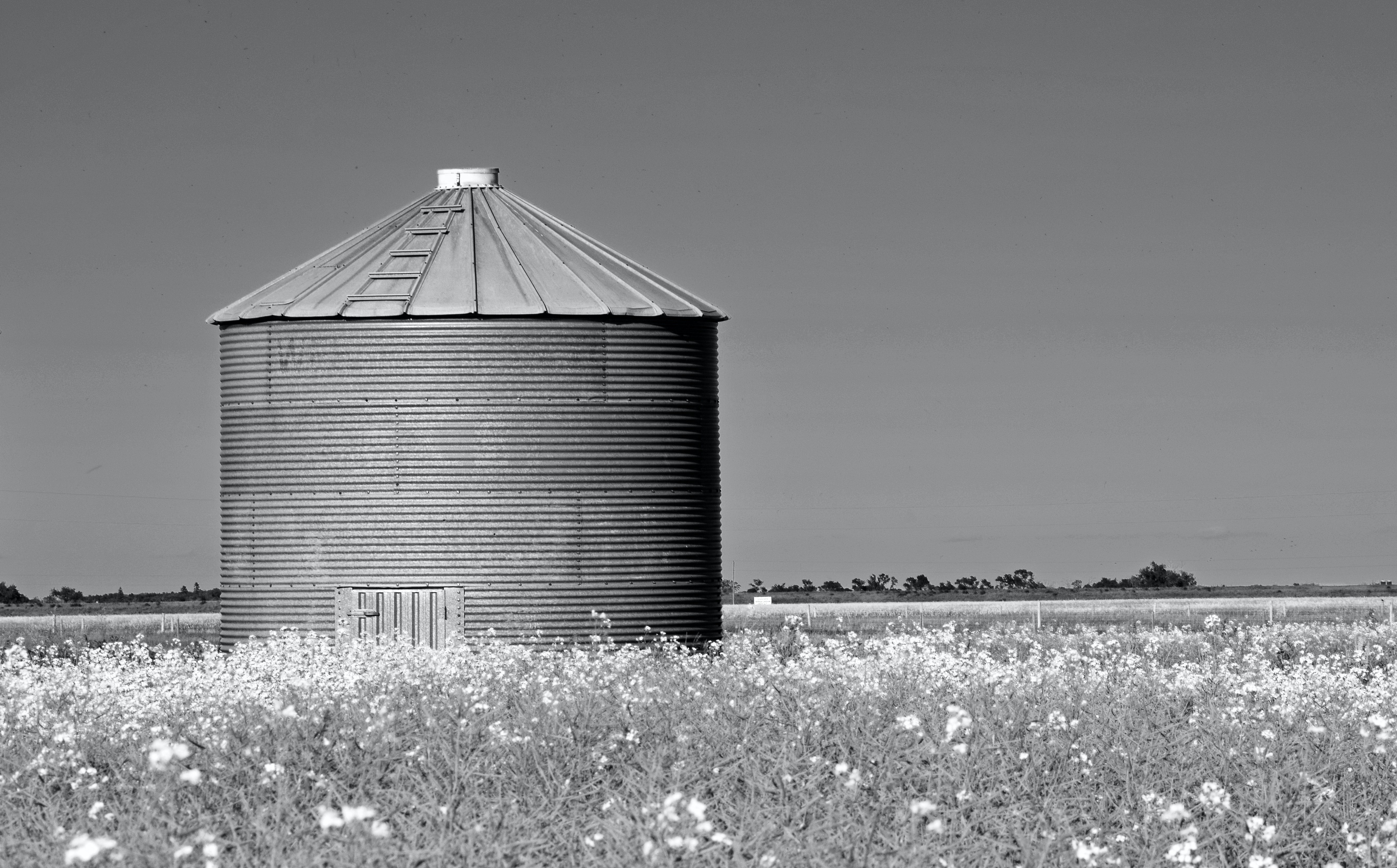 A silo stands alone in a field.